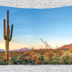 Tenture Murale Nature Aurore sur les Cactus des Montagnes Rocheuses