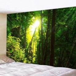Tenture Murale Nature Rayons Perçants, Lumière en Haute Forêt