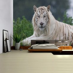 Tenture Murale Animaux Tigre - Tigre Blanc au Repos